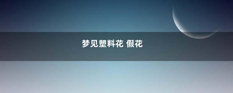 梦见塑料花 假花
